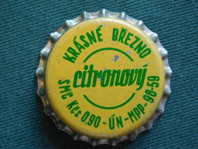 limonada-vrsek-krasne-brezno-usti-nad-labem-133919121 (1)